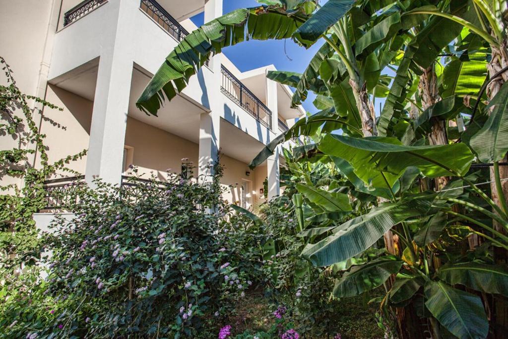 Bali Dorian Apartments Ngoại thất bức ảnh